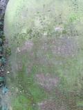 image of grave number 282098